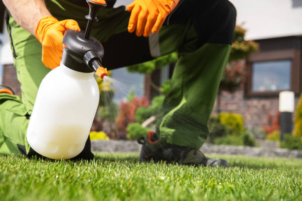 Best Rat Extermination Near Me  in Marlboro Meadows, MD
