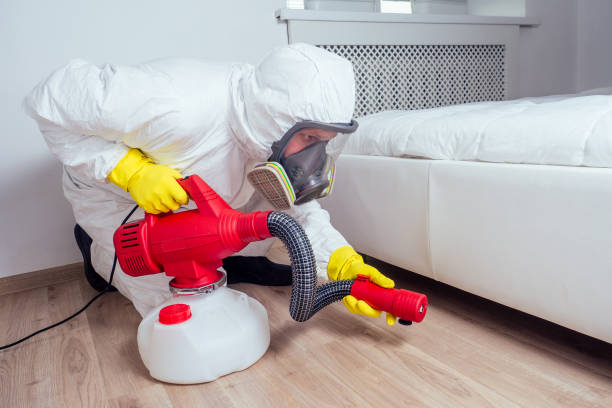 Best Spider Control Near Me  in Marlboro Meadows, MD