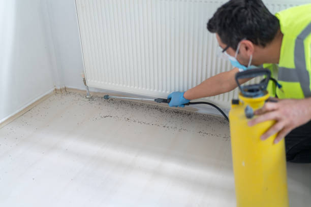 Best Pest Control Near Me  in Marlboro Meadows, MD