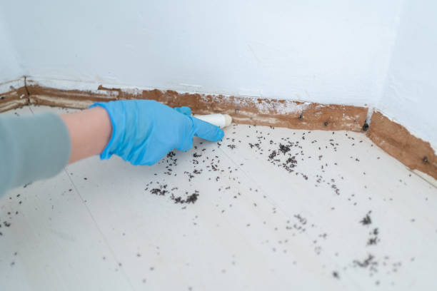 Pest Control for Restaurants in Marlboro Meadows, MD